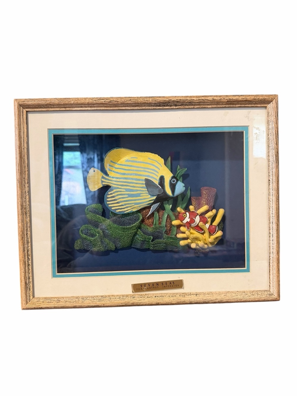 Vintage shadowbox art seven seas signed pomacanthus imperator Emperor Angelfish